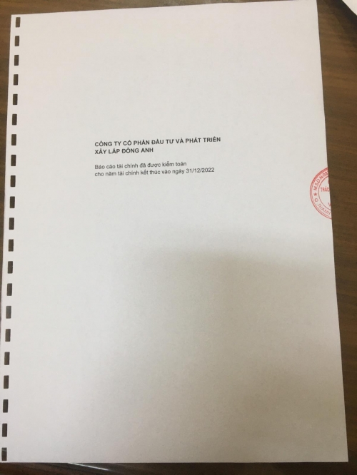 BÁO CÁO TÀI CHÍNH NĂM 2022